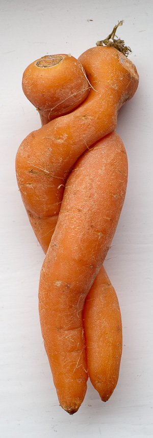 sexy carrots